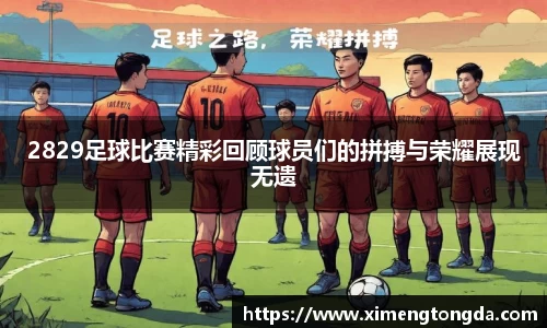 2829足球比赛精彩回顾球员们的拼搏与荣耀展现无遗