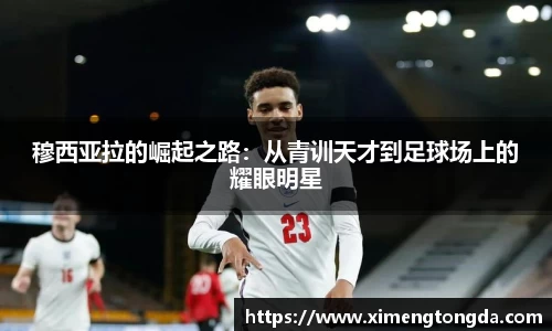 九游体育.九游体育官网入口