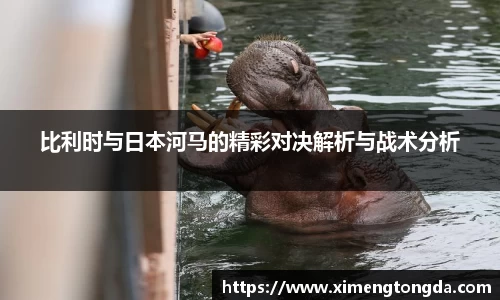 比利时与日本河马的精彩对决解析与战术分析